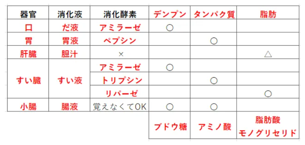 保育士試験対策 用語集 消化酵素 保育士試験対策のスタディ